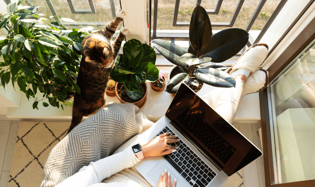 Remote worker completing a client onboarding checklist on a laptop, surrounded by houseplants and a curious cat.